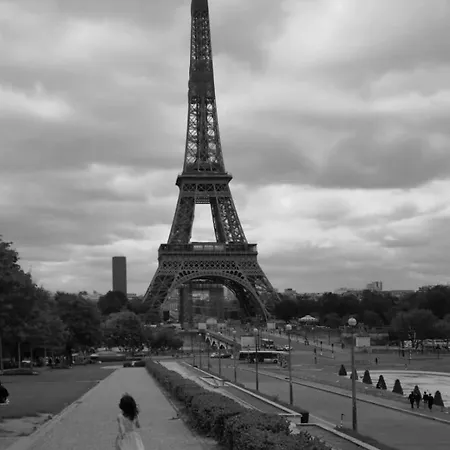 Stylish Parisian Flat Near Eiffel Tower